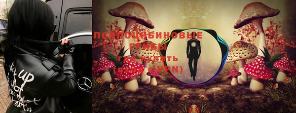 ГАЛЛЮЦИНОГЕННЫЕ ГРИБЫ Баксан